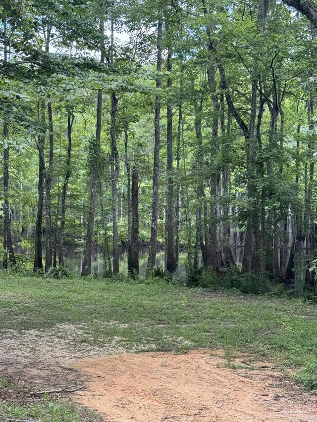 0 John Lowery Rd, Jay, FL 32565