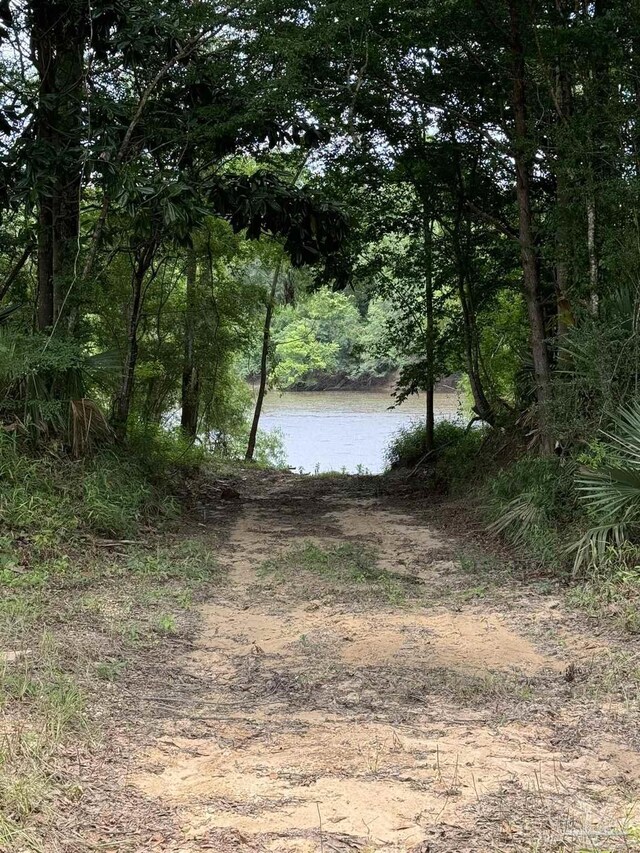 0 John Lowery Rd, Jay, FL 32565