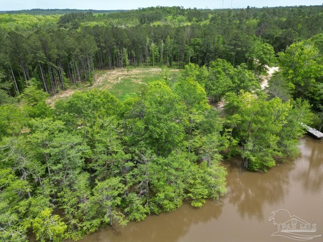 0 John Lowery Rd, Jay, FL 32565