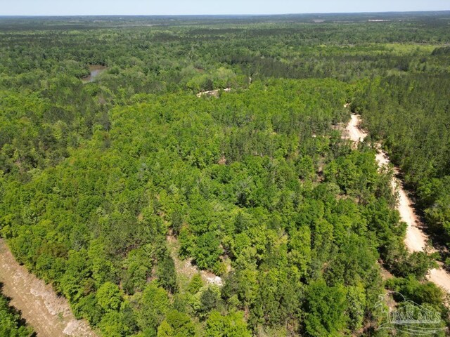 0 John Lowery Rd, Jay, FL 32565