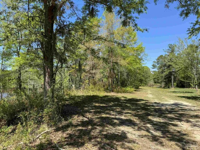 0 John Lowery Rd, Jay, FL 32565