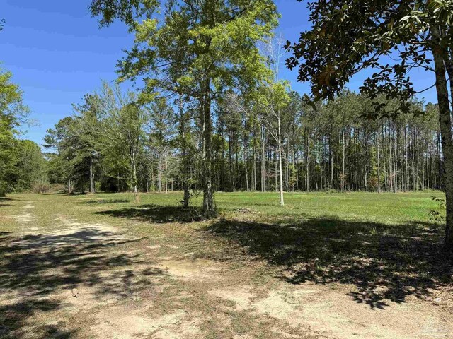 0 John Lowery Rd, Jay, FL 32565