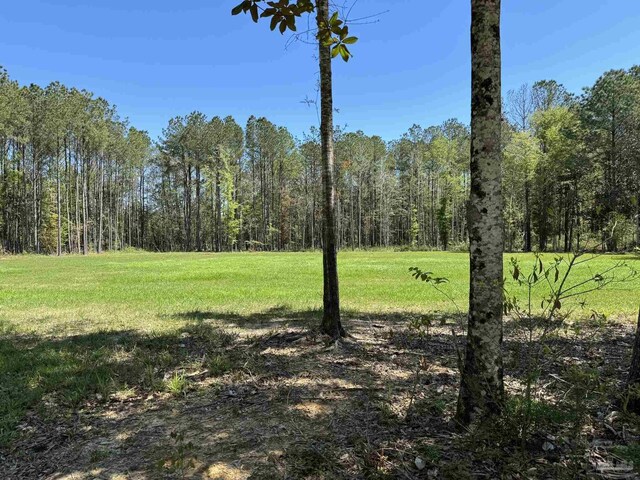 0 John Lowery Rd, Jay, FL 32565