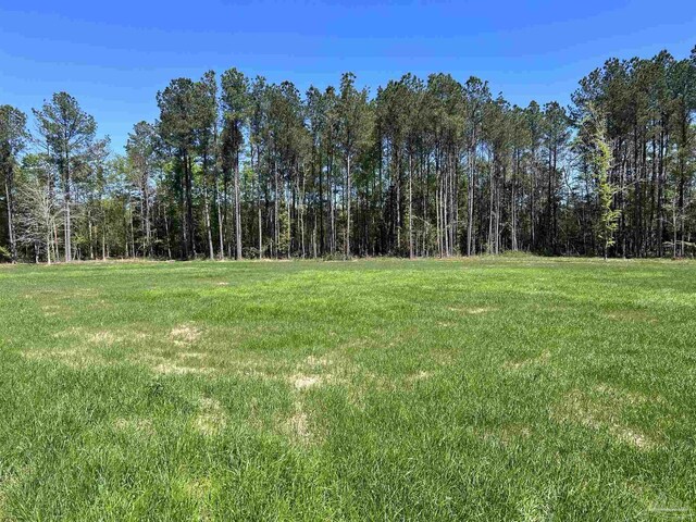 0 John Lowery Rd, Jay, FL 32565