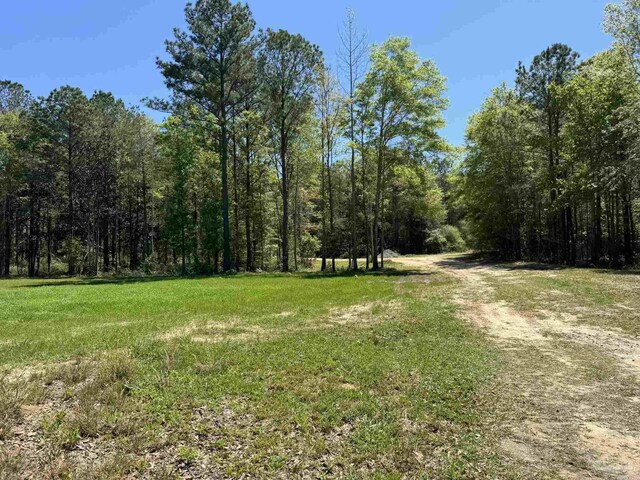 0 John Lowery Rd, Jay, FL 32565