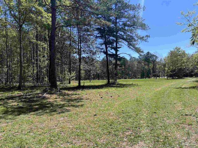0 John Lowery Rd, Jay, FL 32565