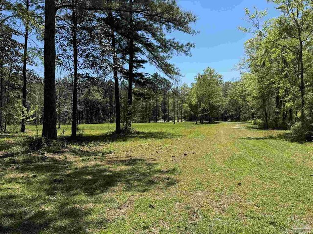 0 John Lowery Rd, Jay, FL 32565