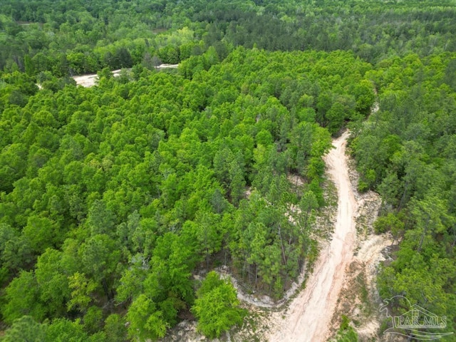 0 John Lowery Rd, Jay, FL 32565