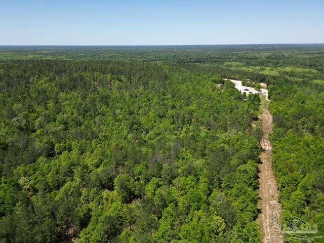 0 John Lowery Rd, Jay, FL 32565