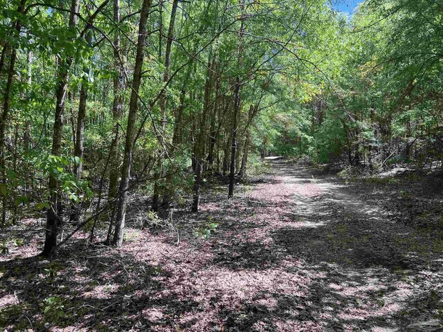 0 John Lowery Rd, Jay, FL 32565