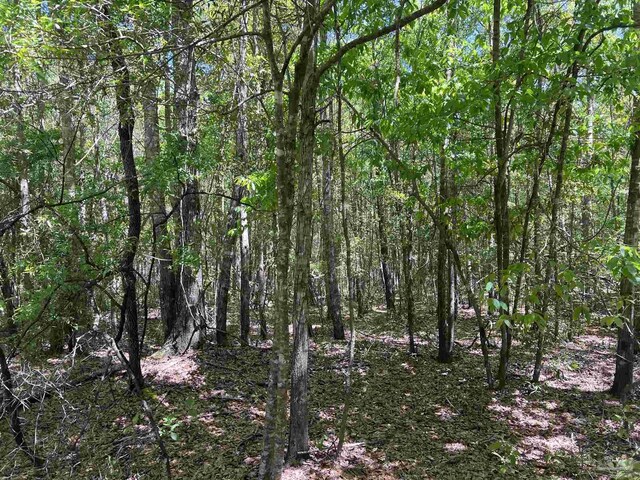 0 John Lowery Rd, Jay, FL 32565
