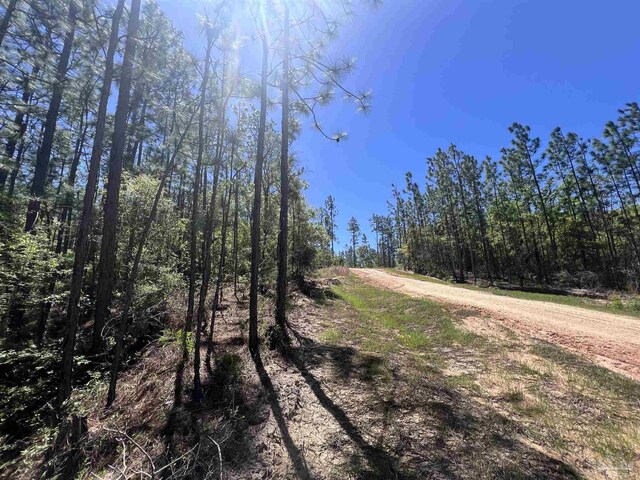 0 John Lowery Rd, Jay, FL 32565