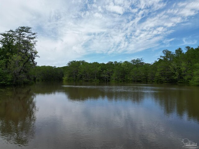 0 John Lowery Rd, Jay, FL 32565