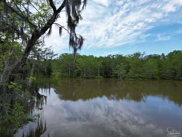 0 John Lowery Rd, Jay, FL 32565