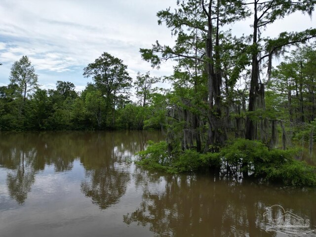 0 John Lowery Rd, Jay, FL 32565