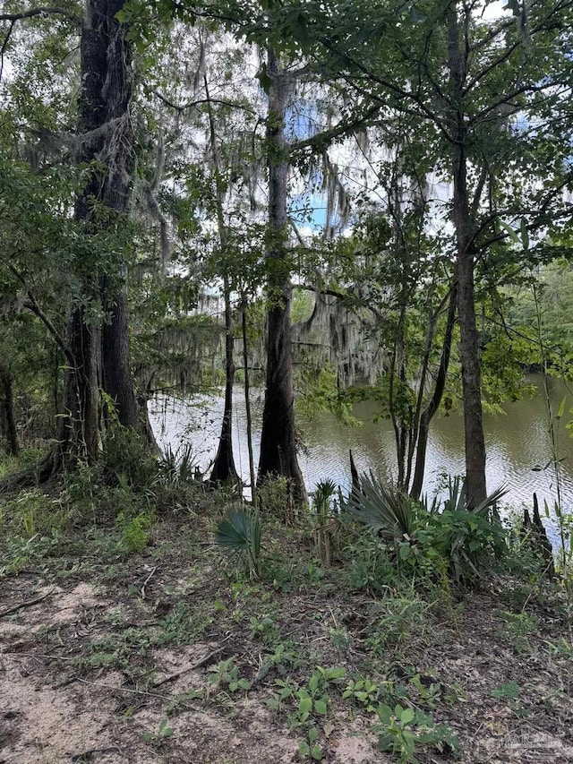 0 John Lowery Rd, Jay, FL 32565