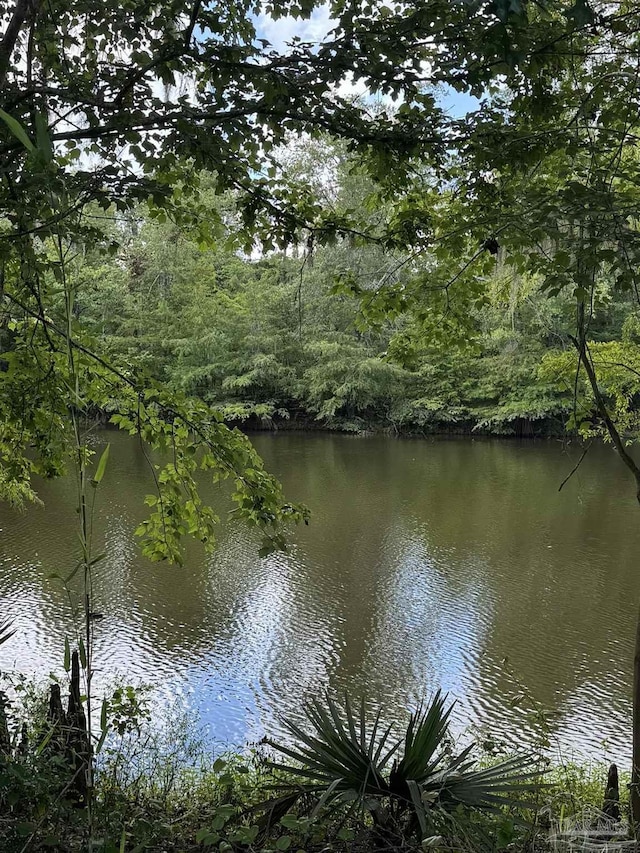 0 John Lowery Rd, Jay, FL 32565