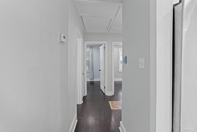 hallway featuring dark hardwood / wood-style flooring