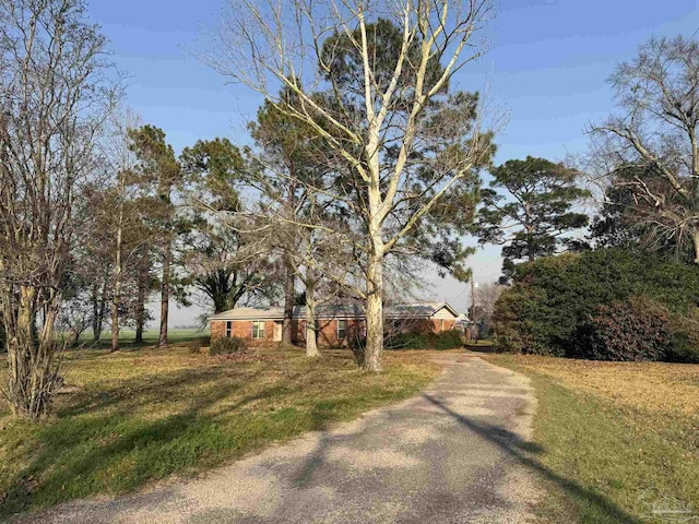 view of road with driveway