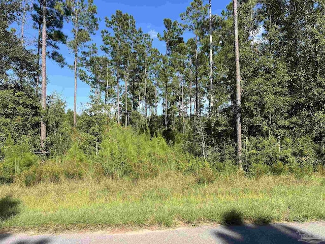 0002 Sage Forest Ln, Pace FL, 32571 land for sale