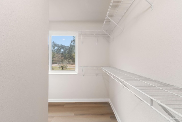 spacious closet with wood-type flooring