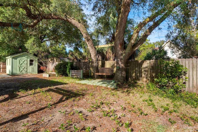 view of yard with a storage shed