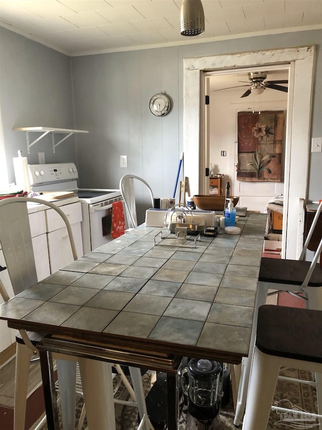 dining room featuring ceiling fan