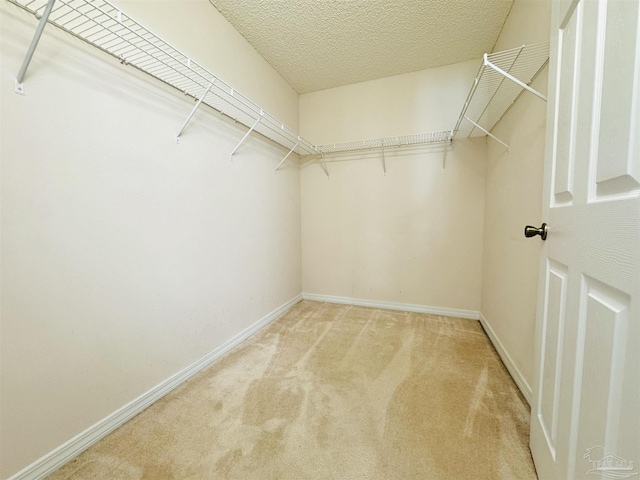 3081 Flintlock Dr, Pensacola, FL 32526 - walk in closet with carpet floors