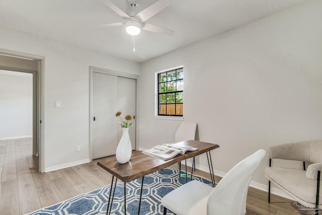 office featuring light hardwood / wood-style floors and ceiling fan