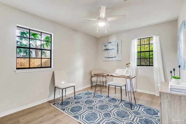 office with a healthy amount of sunlight, light wood-type flooring, and ceiling fan