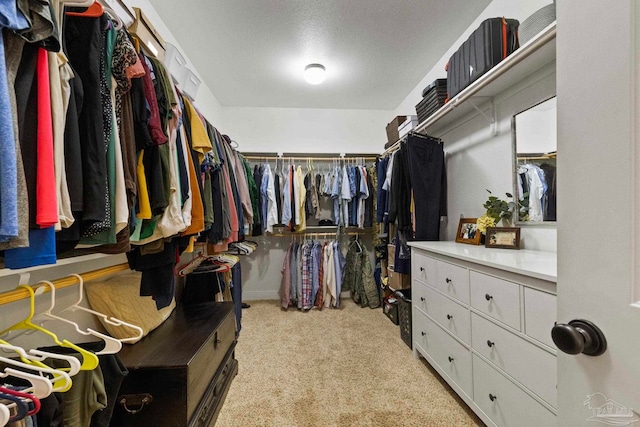 walk in closet featuring light carpet