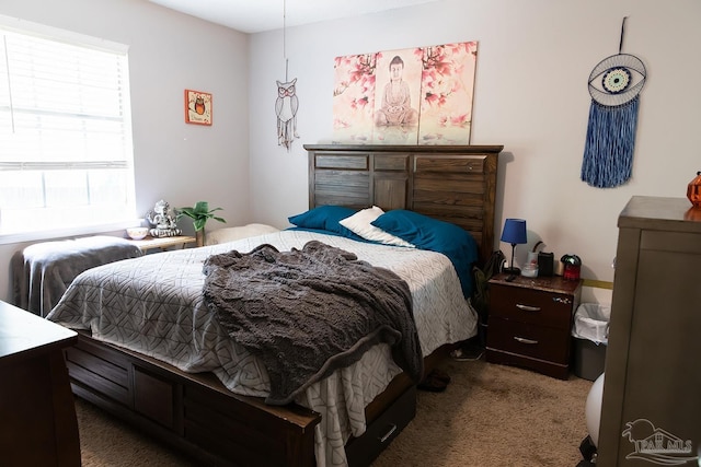 bedroom with carpet floors