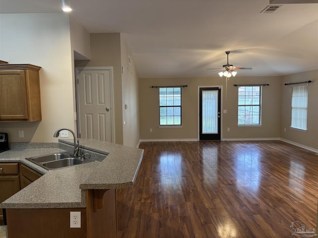 kitchen featuring a wealth of natural light, sink, ceiling fan, and dark hardwood / wood-style floors