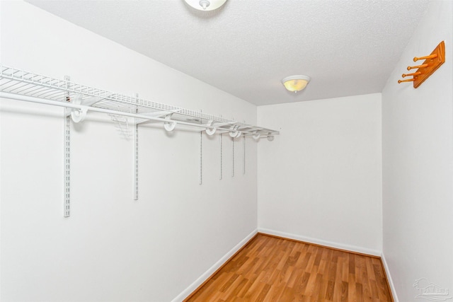 spacious closet featuring light wood finished floors