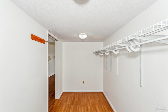 walk in closet with light wood-style floors