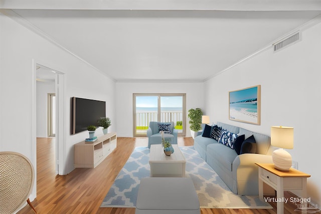 living room featuring crown molding and light hardwood / wood-style flooring