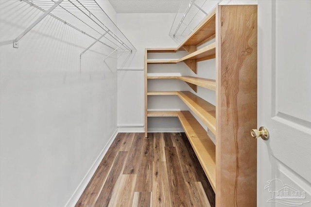 walk in closet featuring dark hardwood / wood-style floors