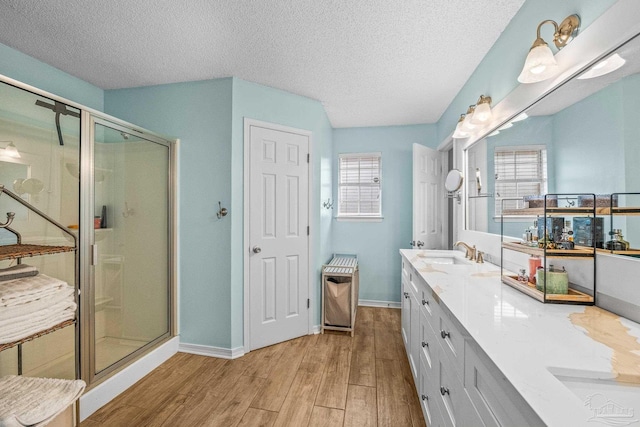 bathroom with hardwood / wood-style flooring, vanity, plenty of natural light, and a shower with shower door