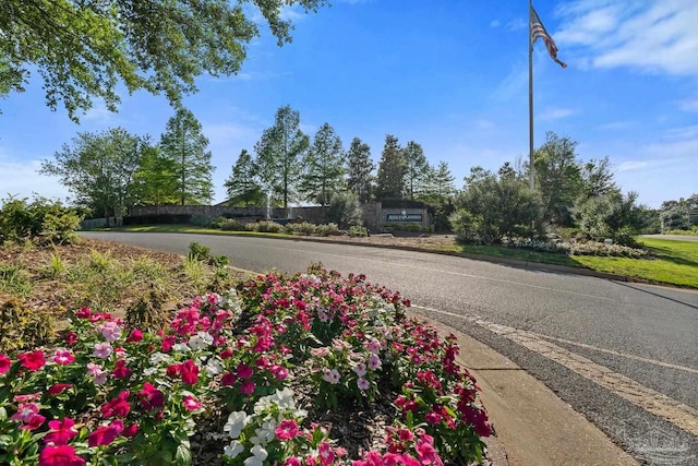 6347 Ladera Trl, Pace, FL 32571 - view of asphalt road