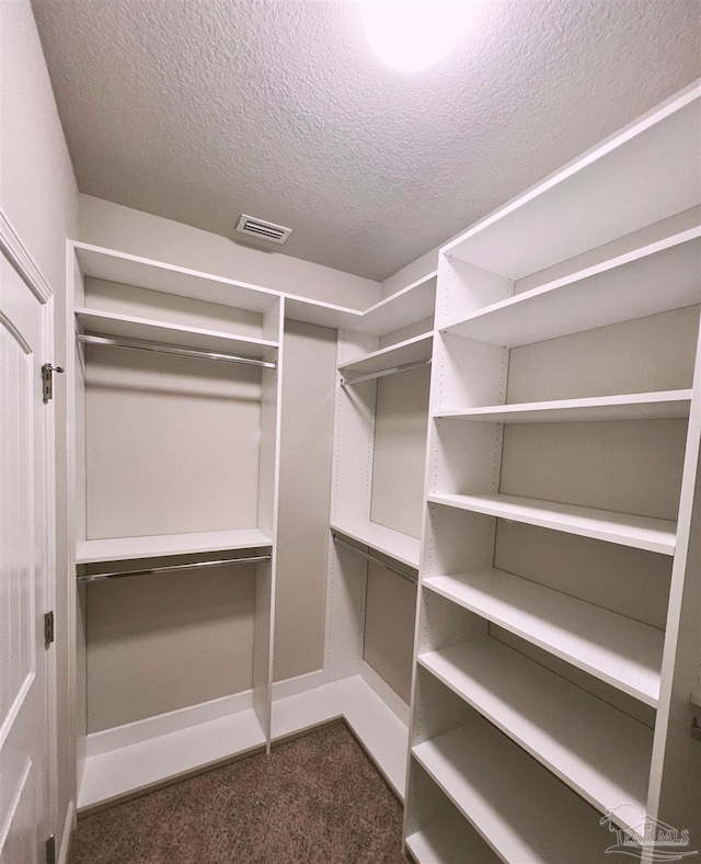 6347 Ladera Trl, Pace, FL 32571 - spacious closet with dark carpet