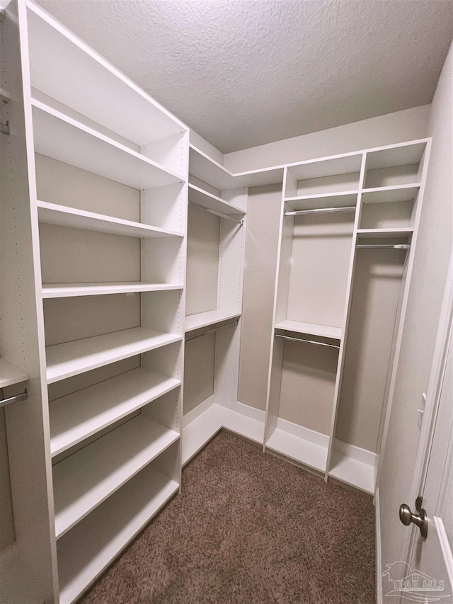 6347 Ladera Trl, Pace, FL 32571 - walk in closet featuring dark colored carpet