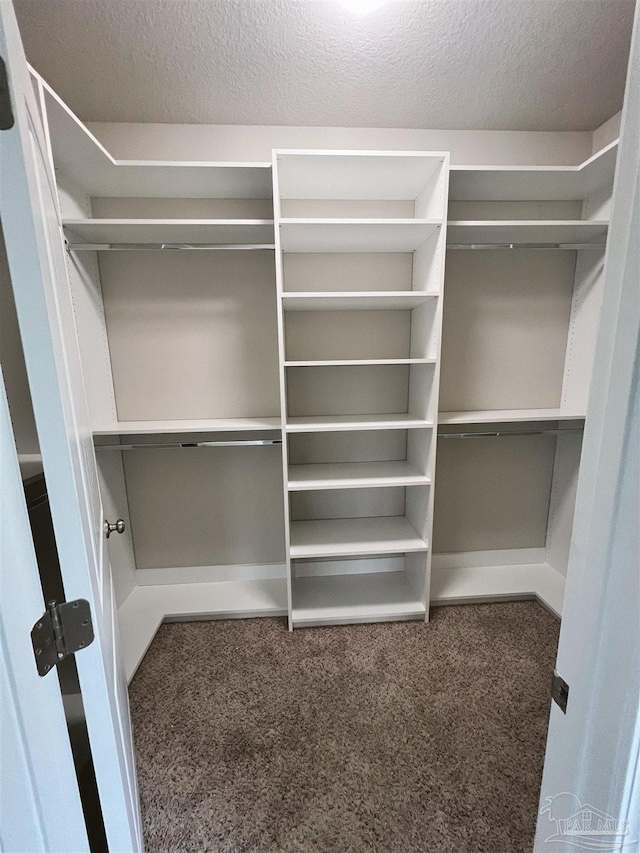 6347 Ladera Trl, Pace, FL 32571 - walk in closet featuring carpet