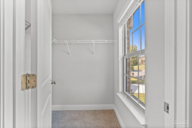 6347 Ladera Trl, Pace, FL 32571 - view of walk in closet