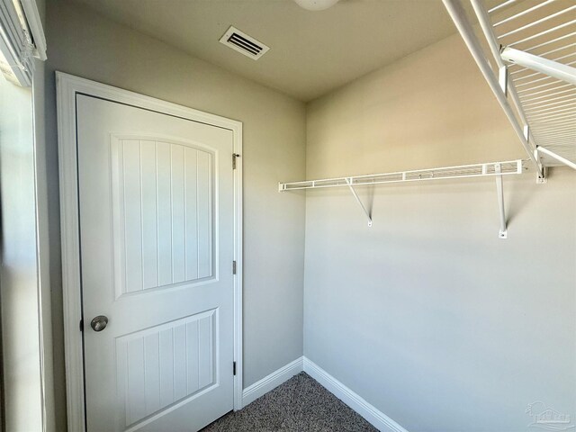 6347 Ladera Trl, Pace, FL 32571 - walk in closet with carpet floors