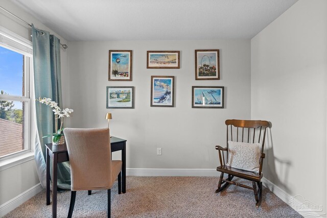 6347 Ladera Trl, Pace, FL 32571 - carpeted office featuring plenty of natural light and baseboards