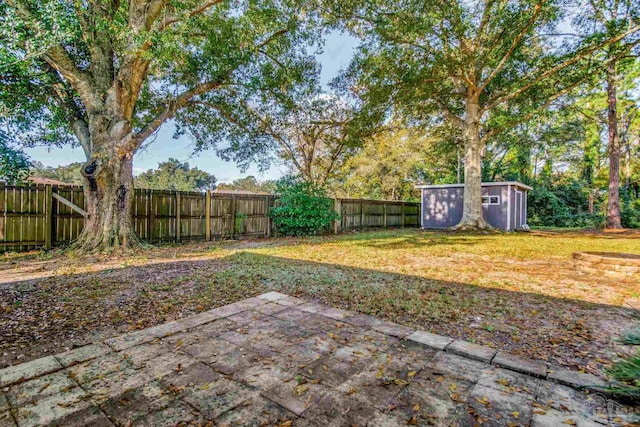 view of yard with a patio area and a storage shed