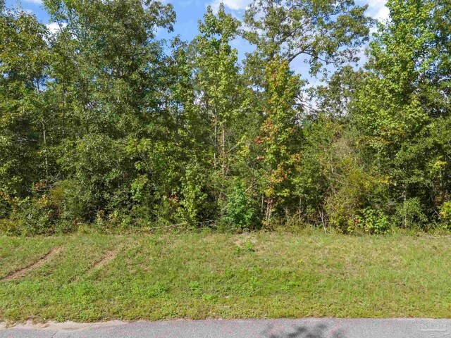 PARCEL13 Sid Hayes Rd, Jay FL, 32565 land for sale