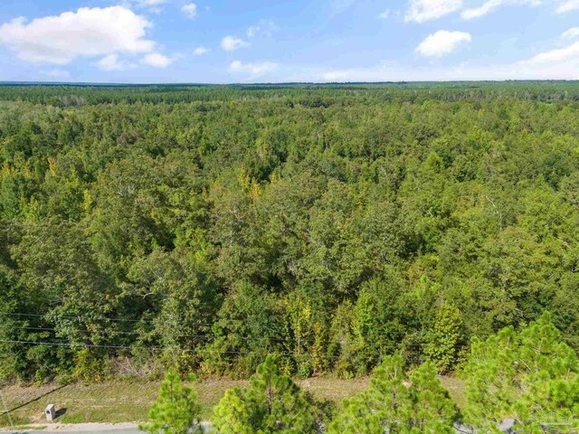 Listing photo 2 for PARCEL13 Sid Hayes Rd, Jay FL 32565