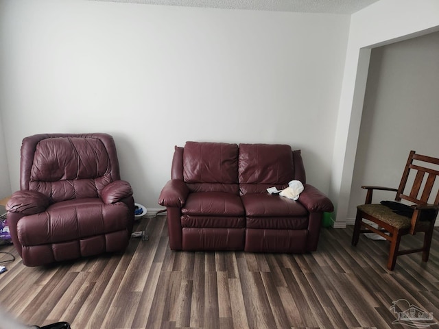 living room featuring dark hardwood / wood-style flooring