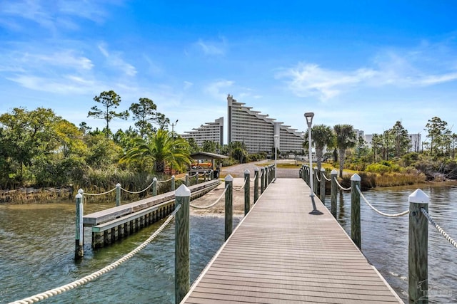 dock area with a water view